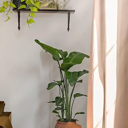 Chez La Mamie Amoureuse Apartment